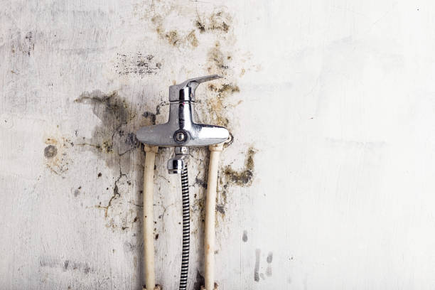 Best Mold Testing  in Capron, IL