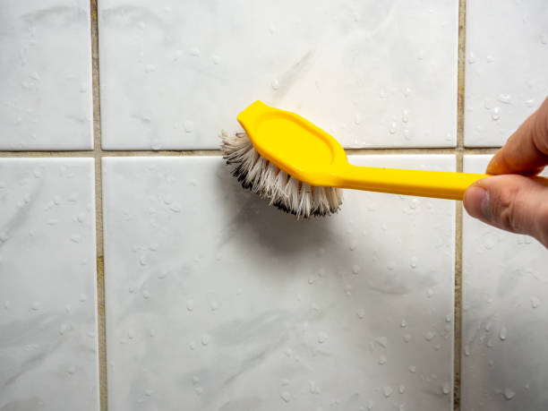 Best Mold Removal Company Near Me  in Capron, IL