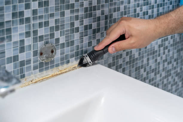Best Emergency Mold Removal  in Capron, IL